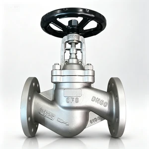 Stainless Steel Globe Valve 316L/304L/CF8M/CF3M/Duplex 2507 1