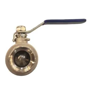 Manual Water Float Valve with Iron Ball and Threaded Connection PN 10/16 OEM Customizable