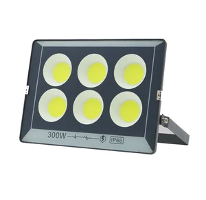 Hot Selling 200W Lens Sunlight Flood Light at Good Price