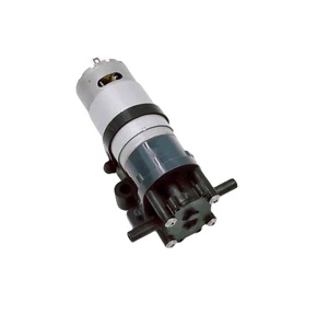 DC Brushed Motor 12V/24V Low Pressure Gear Pump Use-Micro Small Liquid Transfer Pump