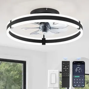Modern Minimalist Iron Ceiling Fan-light 2.4G Remote Control Stepless Dimming for Living Rooms Bedroomswholesale Available