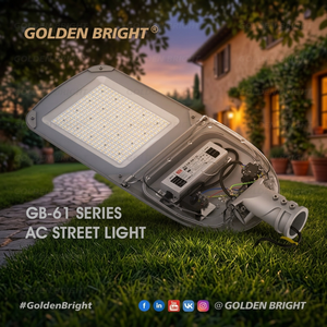 Golden Bright AC LED Road Light IP66 IK09 150W 200W 240W 300W Factory Direct Price Outdoor Street Lighting Solution