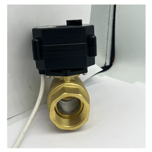 IP67 12 Volt Electric Ball Valve with Manual Override Indicator Brass SS304 UPVC DN8 DN10 DN15 DN20 DN25 DN32 Normally Closed