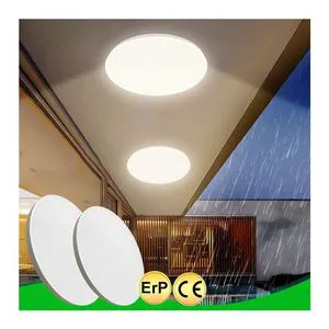 Outdoor Ip65 Waterproof Lamp Modern Simple Ultra-Thin Round 18w 24w 32w 40w Led Ceiling Light for Balcony