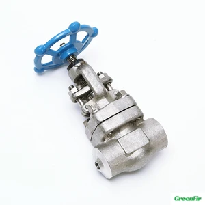 International Standard 316L Stainless Steel Hydraulic Adjustable Cryogenic Globe Valve Flanged Connection Silver Color for Mini