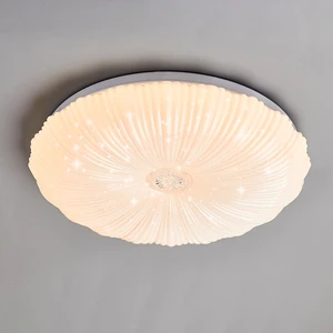 Wholesale Modern Iron Round Ceiling Light for Bedroom Living Room Entry Hallway LED with Remote Control