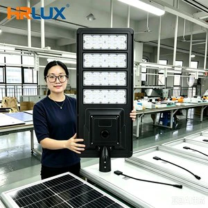 Factory Custom OEM 100W 150W All-in-one Solar Street Light IP66 Heavy Duty Outdoor Project Road Lamp