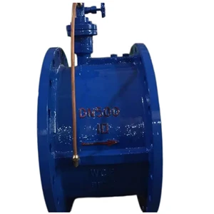 Silent Cast Iron Swing Check Valve Water Hammer Resistant