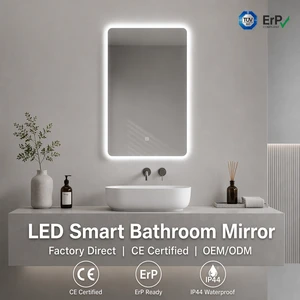 High Brightness 6500K LED Bathroom Mirror 50x70cm Backlit 12W Dimmable Glass Mirror With Metal Backing And 2 Hooks Installation