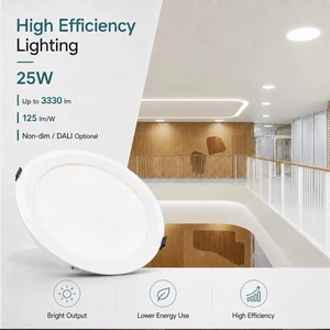 Energy Saving 25W Commercial Ceiling Light,8
