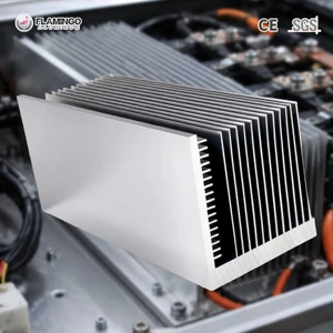 6063 T5 Aluminum Heat Sink Extrusion Manufacturer Custom Heatsink Profiles Mold Development Cutting Drilling Made To Drawings
