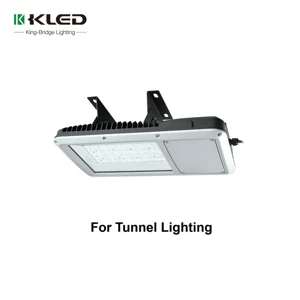 High Quality Aluminum LED Flood Light IP66 Waterproof 5-Year Warranty Remote Control CE Certified High Brightness for Outdoor