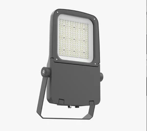 Aluminum LED Flood Light for Road & Garden Use 5-Year Warranty