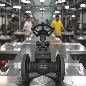 Professional Manufacturer High Shutoff Check Valve Globe Valve Carbon Steel 304/316 DN15-2000 Water Compatible Complete