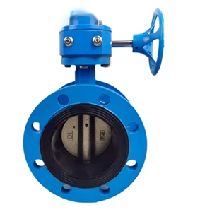 D341X Standard Stainless Steel Double Flange Butterfly Valve Soft Seal Hand Wheel