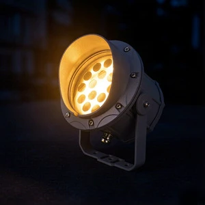 Yangtai Lighting Outdoor Floodlight IP65 Solution Proposal Garden and Courtyard Landscape Project Bridge Lighting