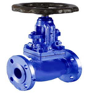 Industrial Manual Control Globe Valve SS 304 2 Inch for High-Temperature Corrosive Water Customizable OEM Support