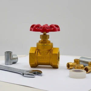 1 Inch Brass Globe Valve High Pressure Rating Smooth Operation Durable Body Water Manual OEM NPT Connection SD Brand 1 Year Low