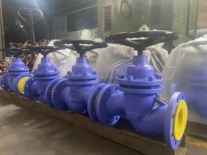 Chain Wheel Operated Stainless Globe Valve 316L, Class 900, RF Flanged, High Pressure Steam