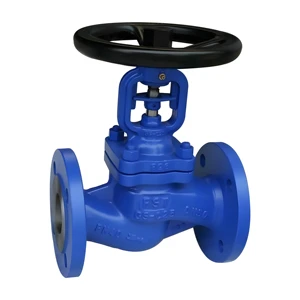 Forged Steel Manual Globe Valve Plug Flange Connection Industrial Stop Valve for Water General Application OEM Customized