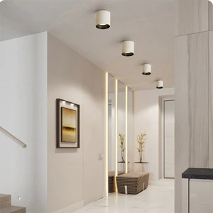 Surface Mounted Dimmable LED Downlight 12W/20W/25-30W/40W LED Ceiling Spotlight LED Surface Light Indoor Lighting