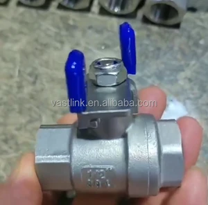 SS304 Stainless Steel Ball Valve with Female Thread