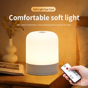 Custom LED Night Light Warm Light 3000K 4500K 6000K Bedroom Battery Powered Remote & Touch Control Simple Soft Light Table Lamp