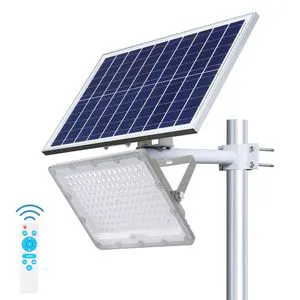 Heshi Super Bright 50W Outside Aluminum Ip65 Stadium Floodlight Solar Powered Reflector Led Flood Light Solar Projector