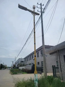 Customized 8m 10m 12m Lane Hot-dip Galvanized & Powder-Coated Steel Conical Street Lamp Poles with Single-arm Design