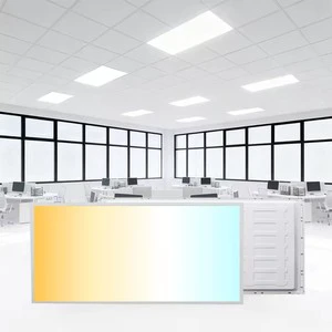 Modern Commercial Panel Light 600*1200MM 1200*300MM 295*1195MM Surface Recessed Mounted LED Panel Lamp