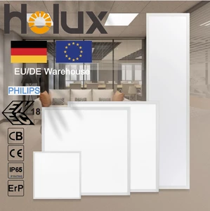 Holux Slim Backlit LED Panel Light 60x60 62x62 IP40 IP54 UGR<19 180lm/W ENEC CE CB RoHS IES LDT Dimmable