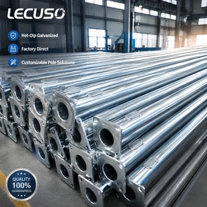 Hot Dip Galvanized 4m 5m 6m 7m 8m 9m 10m 12m Decorative Garden Lighting Pole Telescopic LED Metal Lamp Poles Lighting