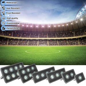 150W LED Tunnel Lamps 110V 220V White Warm White Outdoor Waterproof IP65 COB Explosion Proof Floodlights CRI 80 60-120 Beam