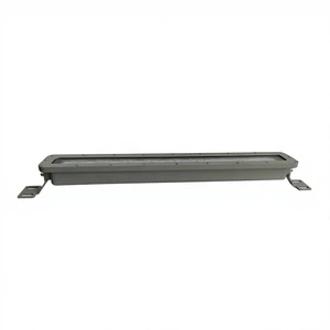 Factory Direct Sales New IP65 LED Tunnel Lights for Park Use 100W/80W/60W/40W Strip Tunnel Lights