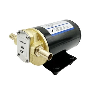 SAILINGFLO FP-24 24V Electric Hydraulic Gear Pump for Fuel Transfer Diesel