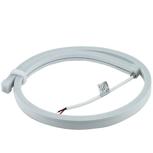 Dynamic LED Neon Light Silicone Tube Customizable Multicolored for Advertising & Bar Decor Use
