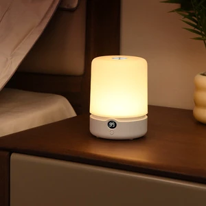 2026 New Arrival Indoor Colorful Dimmable Touch Control Night Light Led Sleep Lamp For Bedside Bedroom