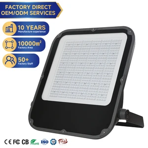 Super Bright 100W-500W IP65 LED Flood Light for Garden, Tunnel & Stadium