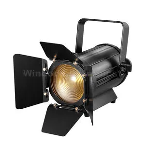 High Quality 100W Spotlight Ww Cw 2In1 Dmx512 Mini Led Fresnel Light With Manual Zoom