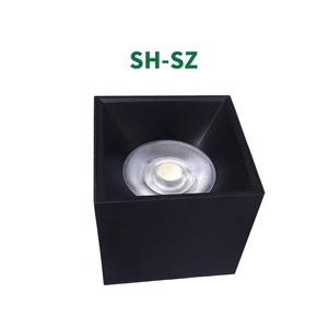 Modern Hotel Project Commercial 15W 20W 30W 40W 50W IP65 Waterproof Aluminum Surface Mounted LED Downlights
