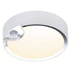New Arrival Battery Operated Indoor/Outdoor LED Motion Sensor Ceiling Light