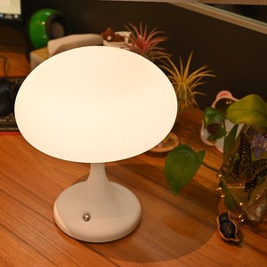 A Rechargeable Small Desk Lamp with Stepless Dimming and a Touch Night Light for the Living Room and Bedroom