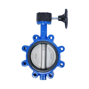Factory Direct Sales Ductile Iron Wafer Butterfly Valves for Water Manual/Turbine Operation