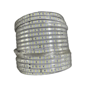 Building Bridge Wireless Rope Lamp Linear Highlight Outdoor Decoration AC220v Led Strip Light Flexible Manufacturer