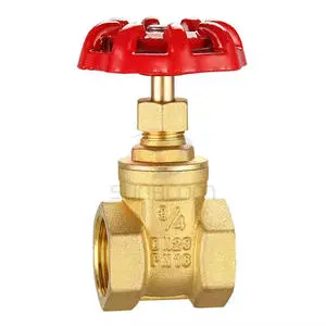 Direct From China Factory PN 16 Brass Globe Valve for Firefighting Equipment Pipeline High Flow