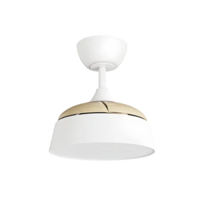 Modern Ceiling Fan Light LED 5000K Warm White Surface Mounted Metal Body Remote Control IP33 2160 Lumens for Living Room 220V