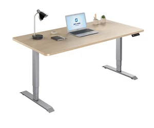 Modern Dual Motor Electric Sit Stand Desk Accessories Intelligent Office Use Metal Design
