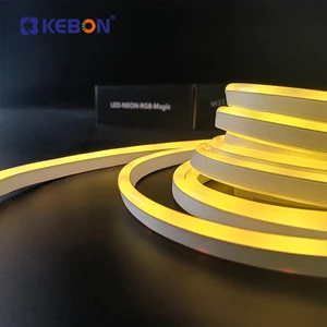 Bridge Building Decoration Lighting Neon Sign Light Waterproof Flexible Colorful Rgb 5v Led Neon Light