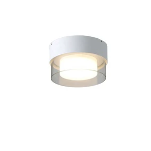 Newly Villa Modern Garden Ceiling Light Waterproof IP65 10W Outdoor Ceiling Lights Surface Mounted