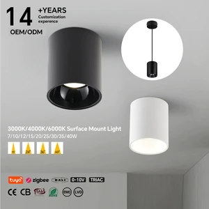 14 Years Factory Mid High End Surface Mounted LED Pendant Downlight OEM ODM 7W To 40W Dimmable COB Spotlight For Commercial